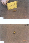 Item #2350: "One fired FC 223 REM caliber cartridge case"