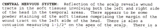 Klebold had a bruise on the apex of his head